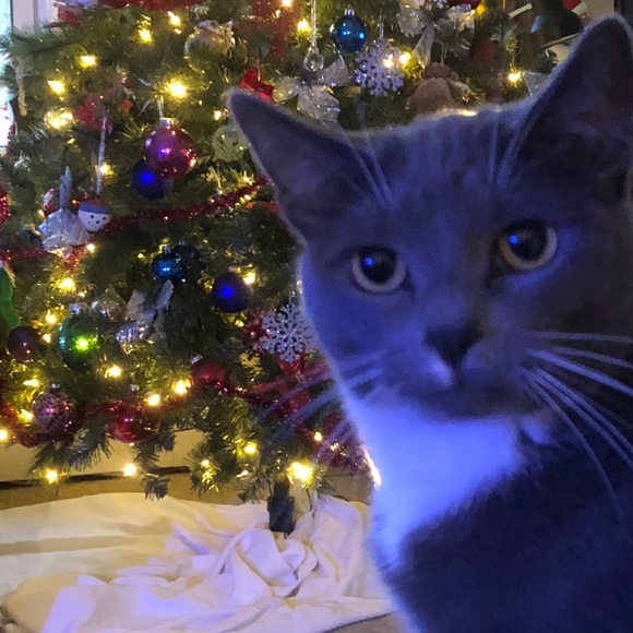 Meet the Posher - Picture 4 of 6